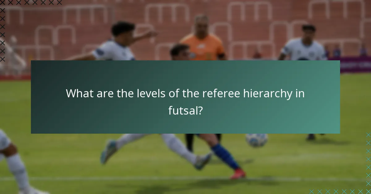 What are the levels of the referee hierarchy in futsal?